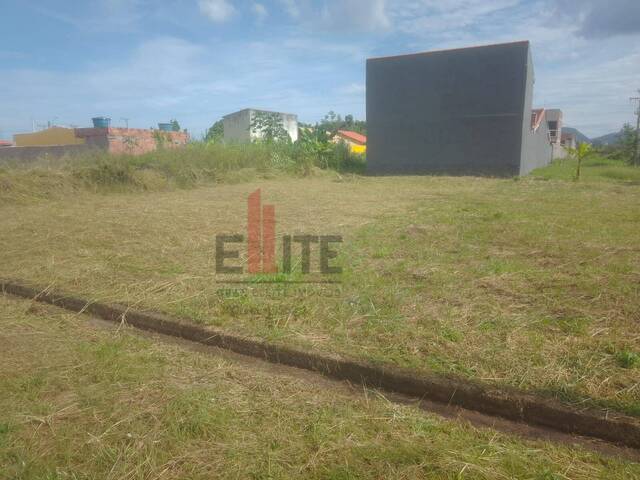 #TE00029 - Terreno para Venda em Peruíbe - SP - 2