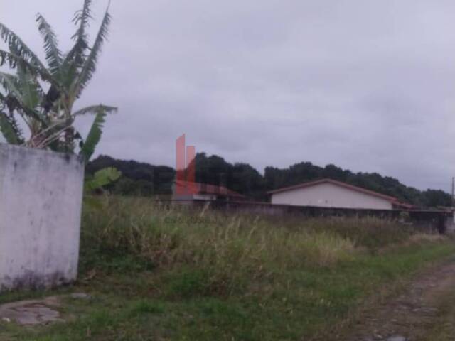 #112 - Área para Venda em Itanhaém - SP - 2