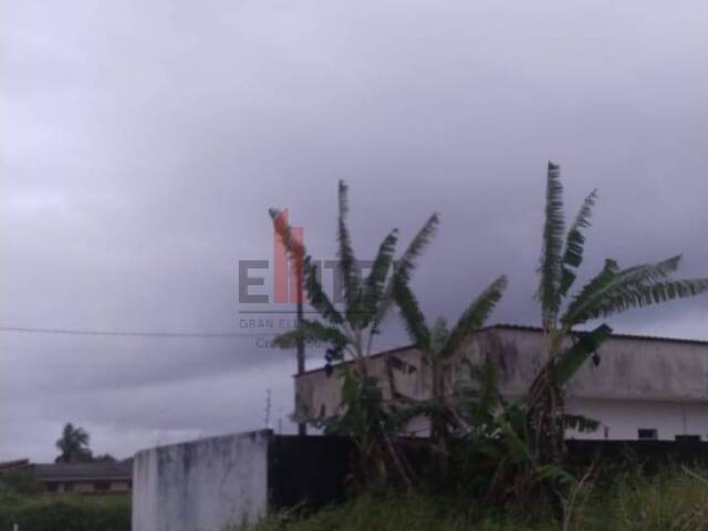 Área para Venda em Itanhaém - 5