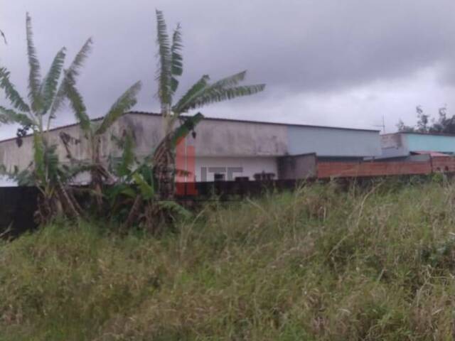 Área para Venda em Itanhaém - 4
