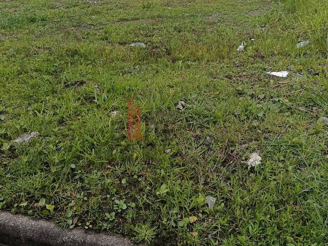 #TE00047 - Terreno para Venda em Peruíbe - SP - 2