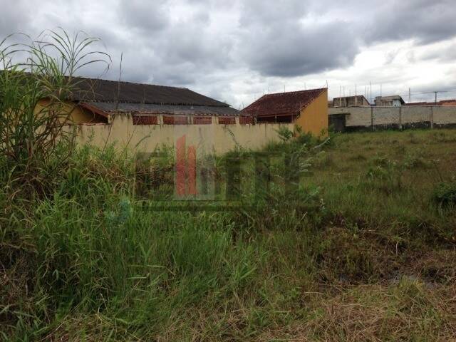 Terreno para Venda em Itanhaém - 4
