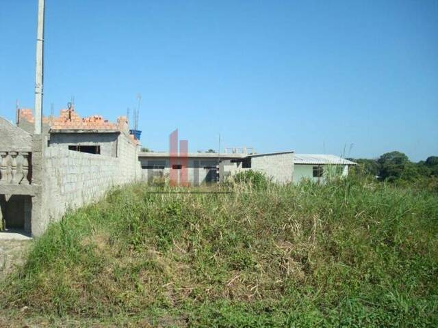 Terreno para Venda em Itanhaém - 4
